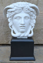 Load image into Gallery viewer, History Medusa Versace Rondanini Bust design Artifact Carved Sculpture Statue 7&quot; www.Neo-Mfg.com Mounted on base
