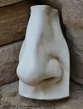 Load image into Gallery viewer, Roman Michelangelo large David Eye, Nose or mouth face Plaque Sculpture  www.Neo-Mfg.com museum reproduction Brucciani sold as EACH
