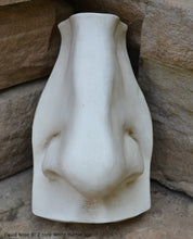 Load image into Gallery viewer, Roman Michelangelo large David Eye, Nose or mouth face Plaque Sculpture  www.Neo-Mfg.com museum reproduction Brucciani sold as EACH
