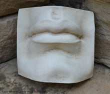 Load image into Gallery viewer, Roman Michelangelo large David Eye, Nose or mouth face Plaque Sculpture  www.Neo-Mfg.com museum reproduction Brucciani sold as EACH
