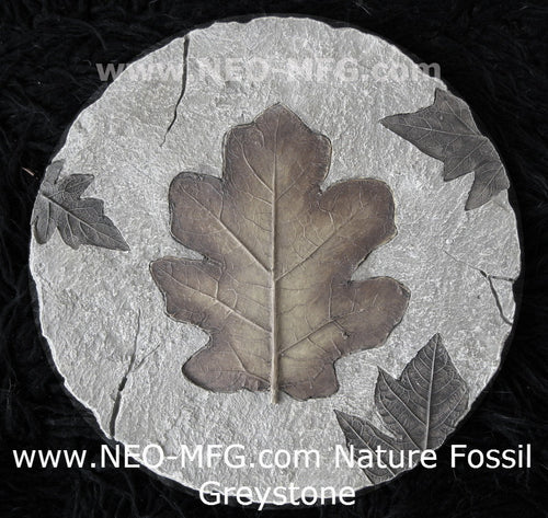 Nature Fossil LEAF 2pc set wall Art Sculpture Frieze Plaque Home decor 9" neo-mfg c11