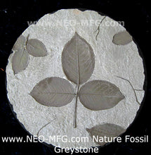 Load image into Gallery viewer, Nature Fossil LEAF 2pc set wall Art Sculpture Frieze Plaque Home decor 9&quot; neo-mfg c11
